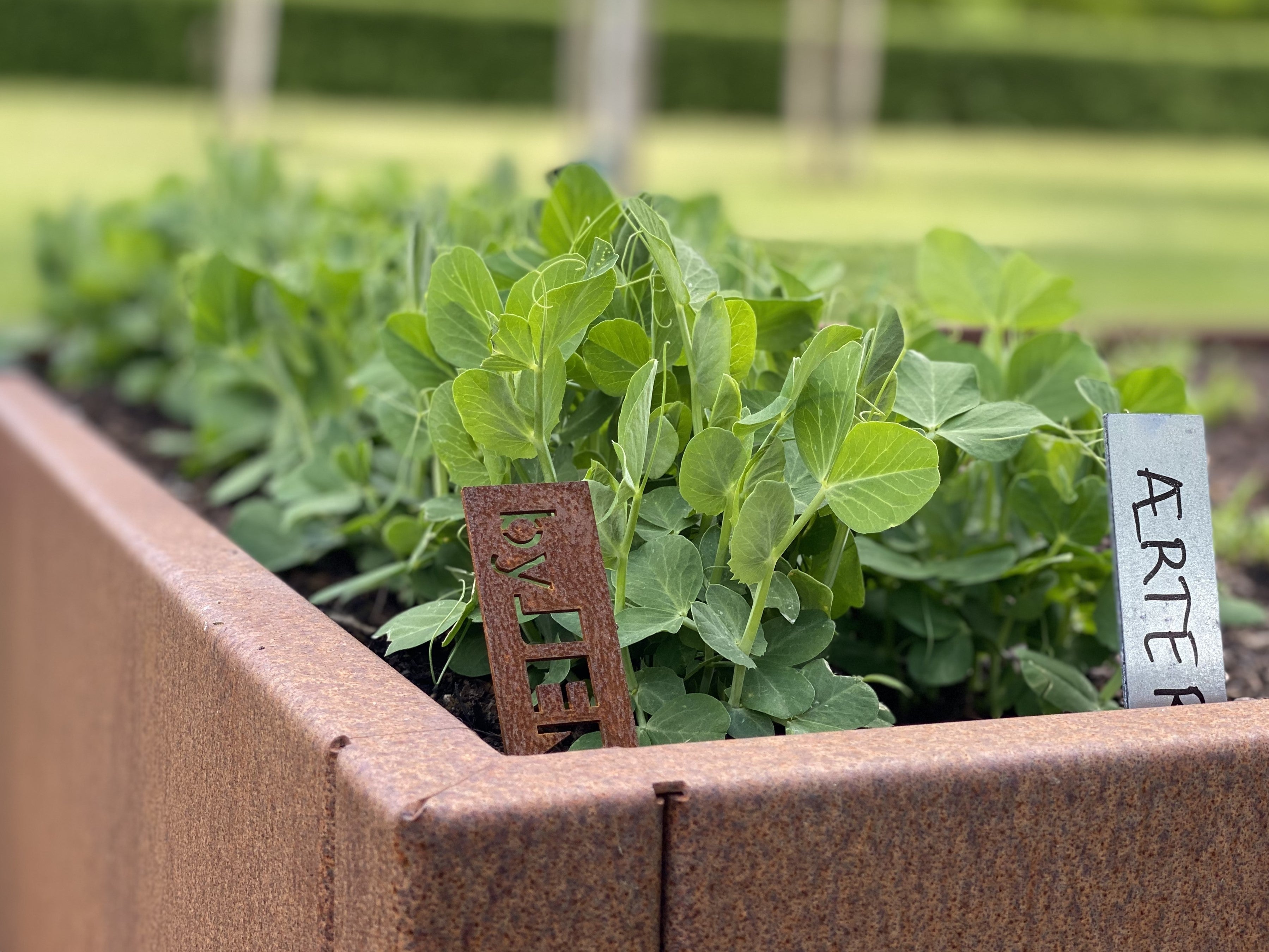 Raised beds - CUBY series