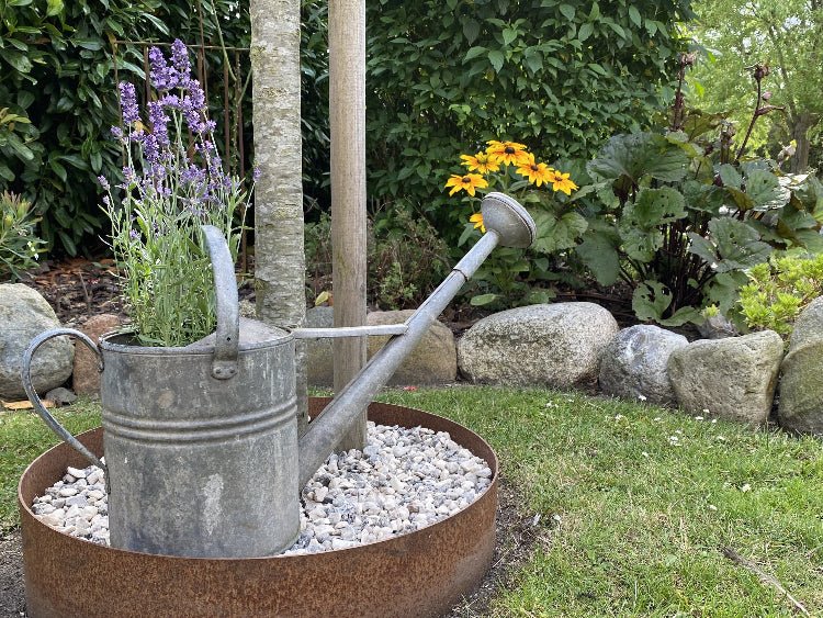 Moderne Baumscheibe aus Cortenstahl mit dekorativer Bepflanzung – runde Beetumrandung aus Metall