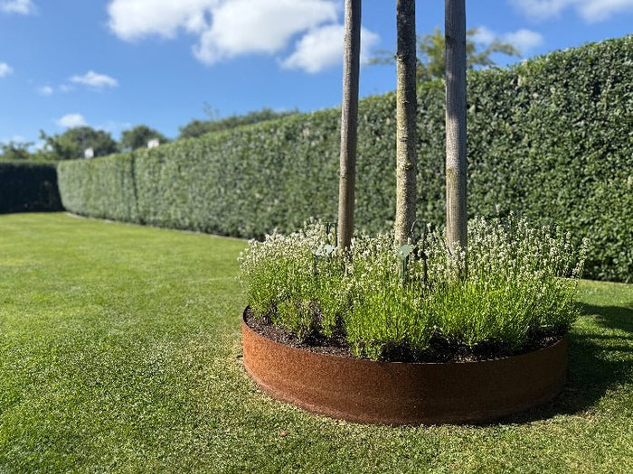 Baumscheibe aus Cortenstahl von byJEMA nach Maß um einen Baum im Garten