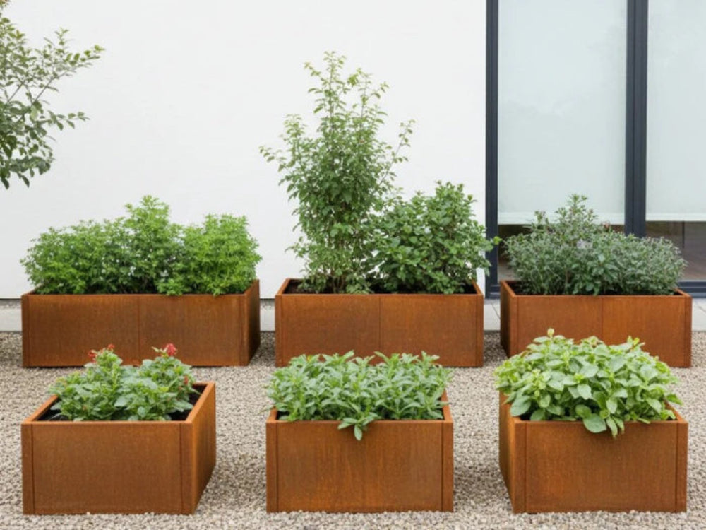 CUBY Hochbeet aus Cortenstahl mit Kräutern und Gemüse im Garten