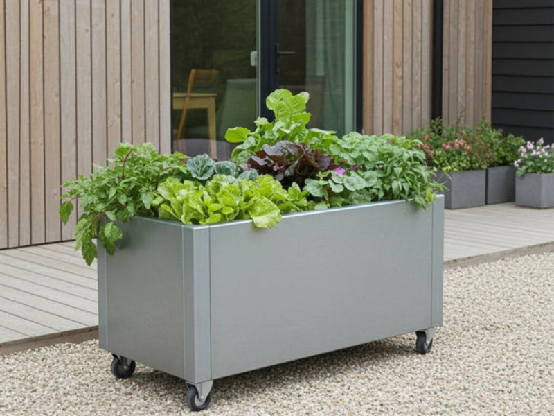cuby-pflanzkasten-rollen-verzinkter-stahl-gemuese