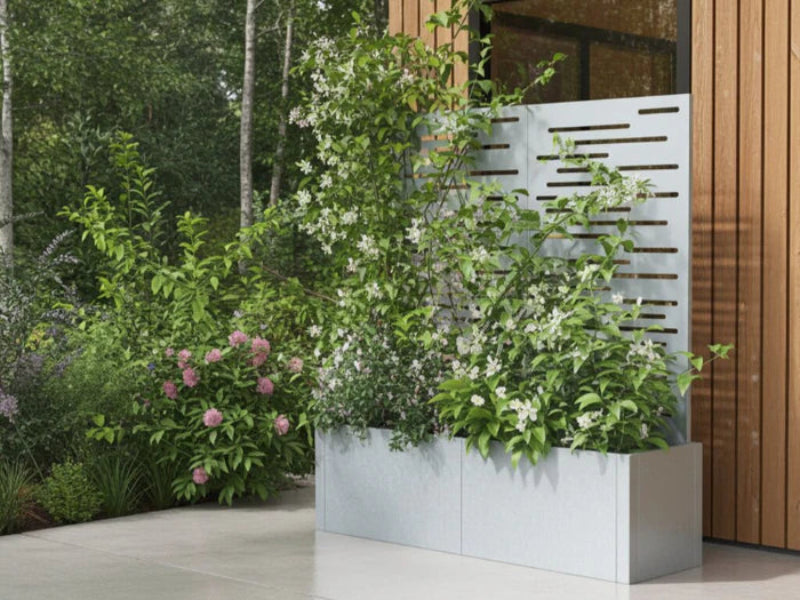 CUBY Pflanzkasten aus verzinktem Stahl mit Rankgitter und Kletterpflanzen