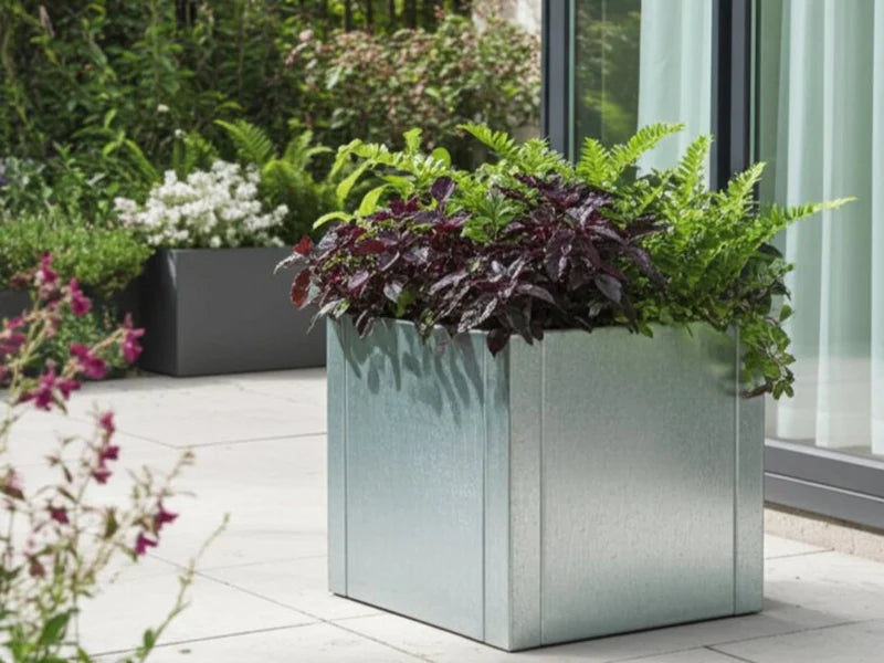 CUBY Pflanzkübel aus verzinktem Stahl mit dunkler Bepflanzung auf Terrasse