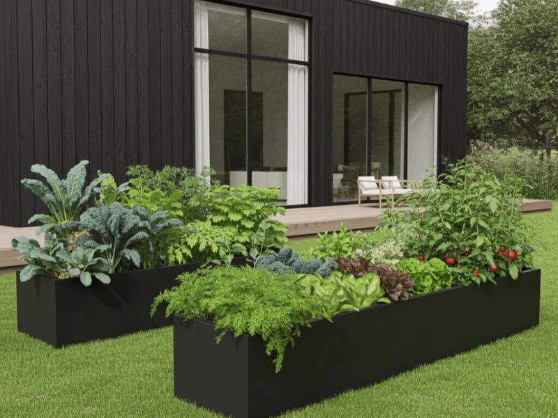 Pflanzkasten aus schwarzem Stahl mit Gemüse und Kräutern