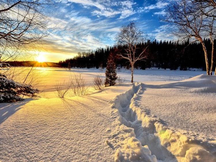 winter-landscape