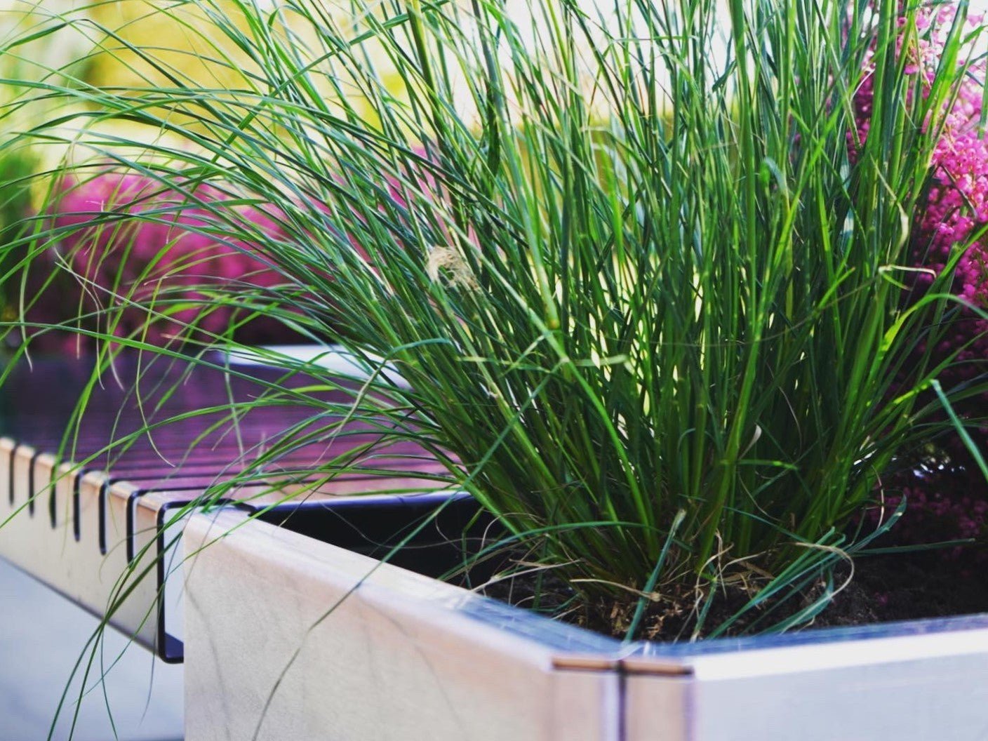 Raised beds - galvanized steel EDGY