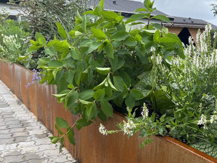 Langer Pflanzkasten aus Cortenstahl von byJEMA vor modernem Wohnhaus – dekoratives Gestaltungselement für Terrasse und Garten