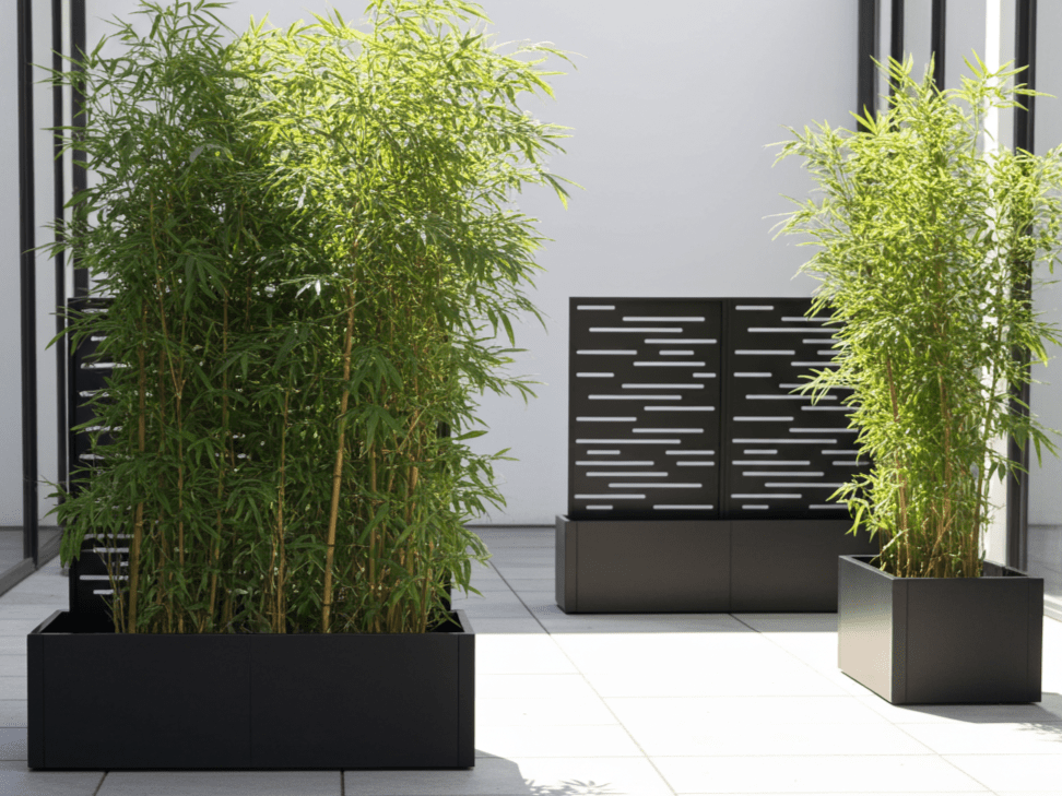 Schwarz lackierte Stahl-Pflanzkübel mit Spalier, eingesetzt als Sichtschutz auf der Terrasse.
