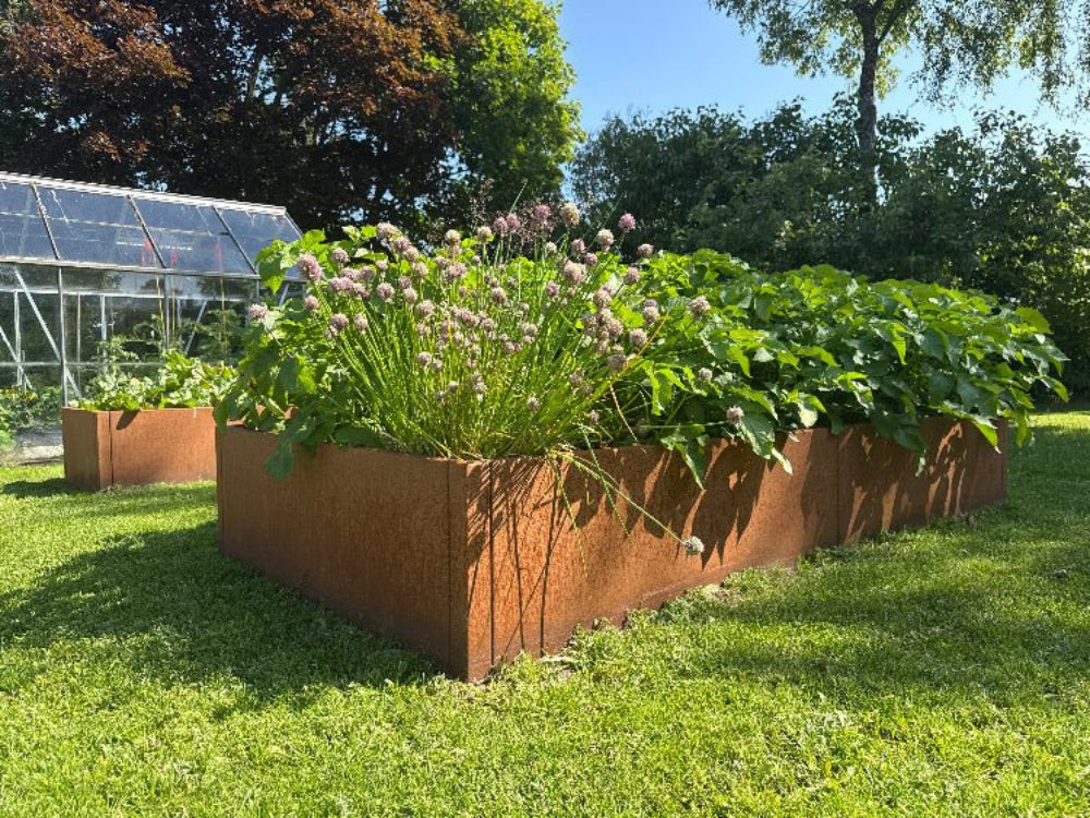 CUBY Hochbeet aus Cortenstahl mit Blumen beim Gewächshaus