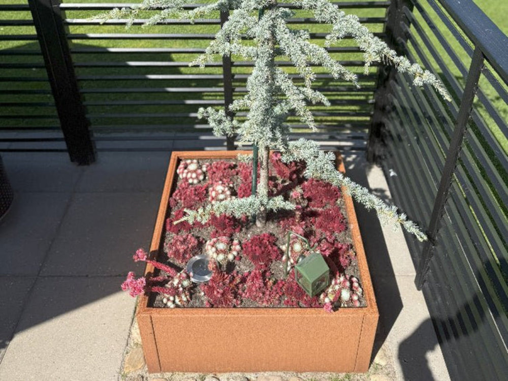 Cortenstahl Pflanzkasten von CUBY mit kleinem Nadelbaum auf Terrasse