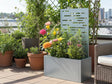 CUBY Pflanzkasten aus verzinktem Stahl mit Rankgitter auf Dachterrasse