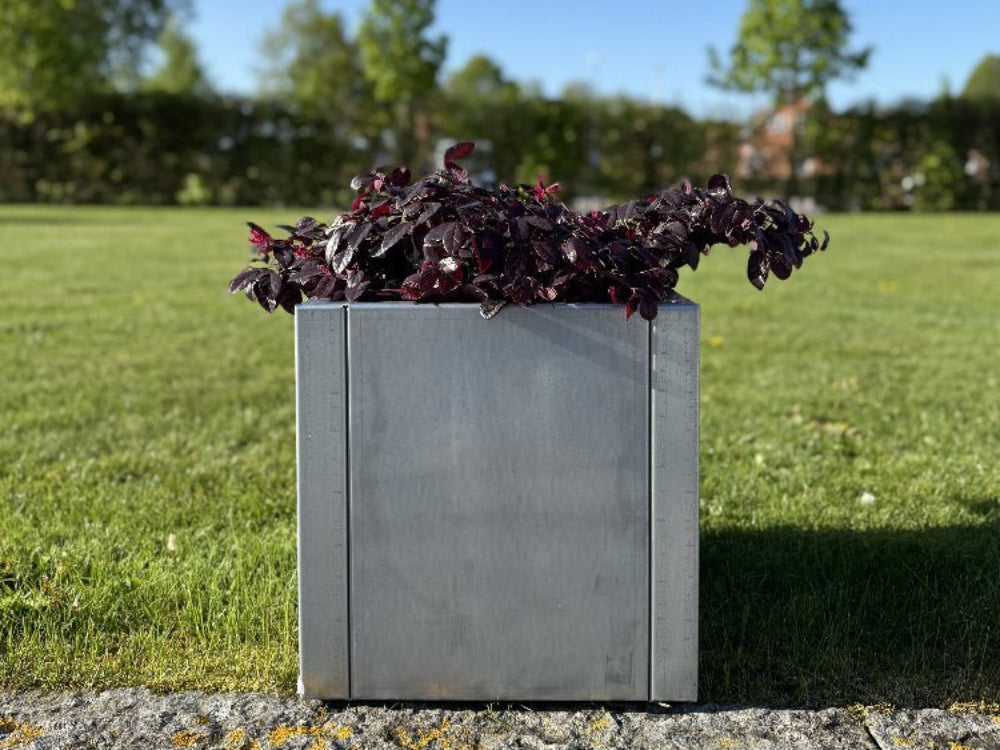 CUBY Pflanzkübel aus verzinktem Stahl mit dunklen Blättern im sonnigen Garten