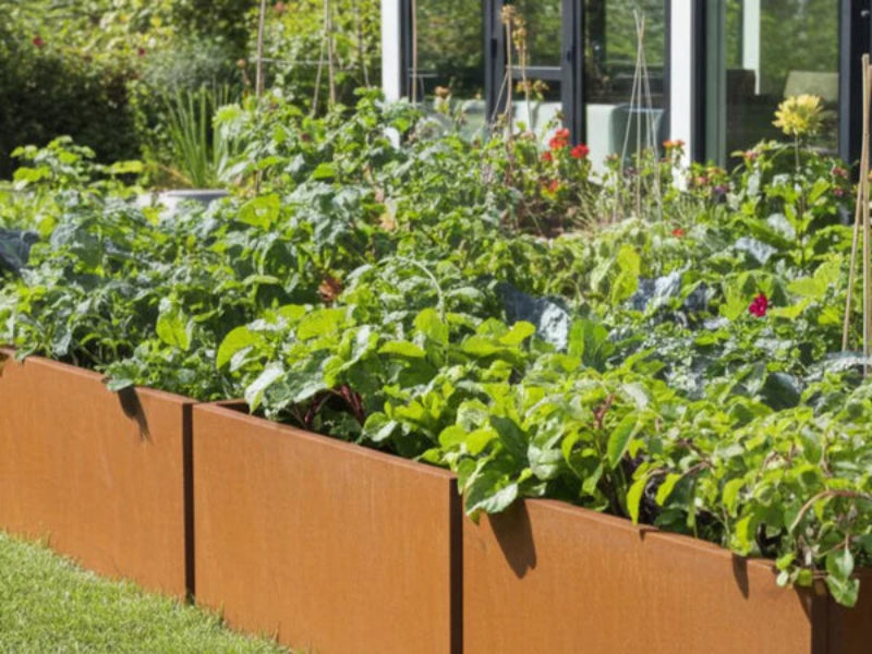 Langer EDGY Pflanzkübel aus Cortenstahl mit Gemüse im Garten