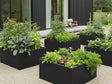 Hochbeet aus schwarzem Metall CUBY mit Kräutern und Gemüse im Garten