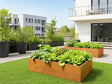 Cortenstahl Hochbeet CUBY 150 x 80 x 40 cm
