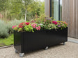 mobiler-pflanzkasten-schwarzstahl-blumen-rollen