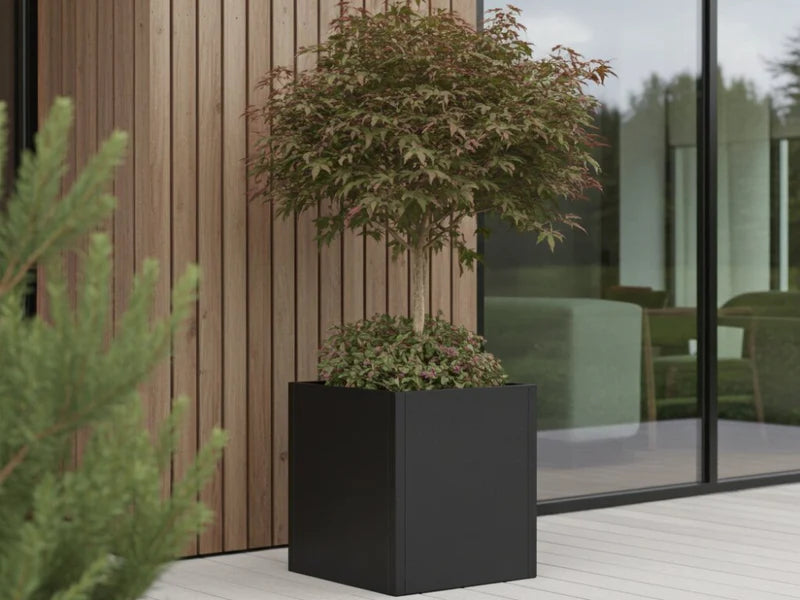 Pflanzkübel aus schwarzem Stahl mit kleinem Zierbaum vor Glasfassade