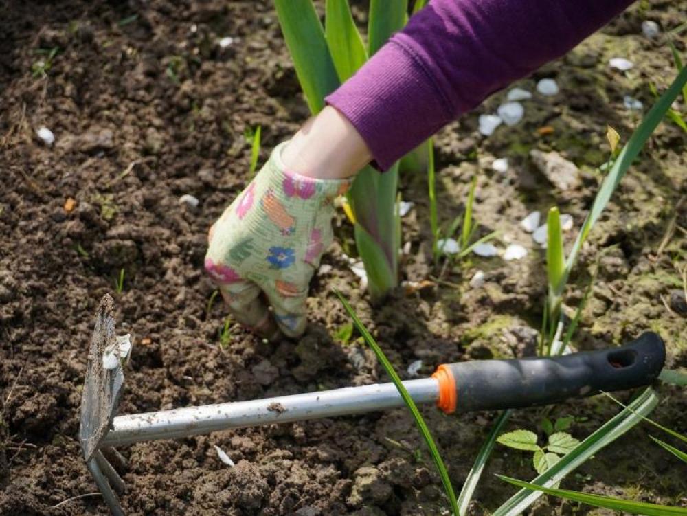 work-in-the-garden